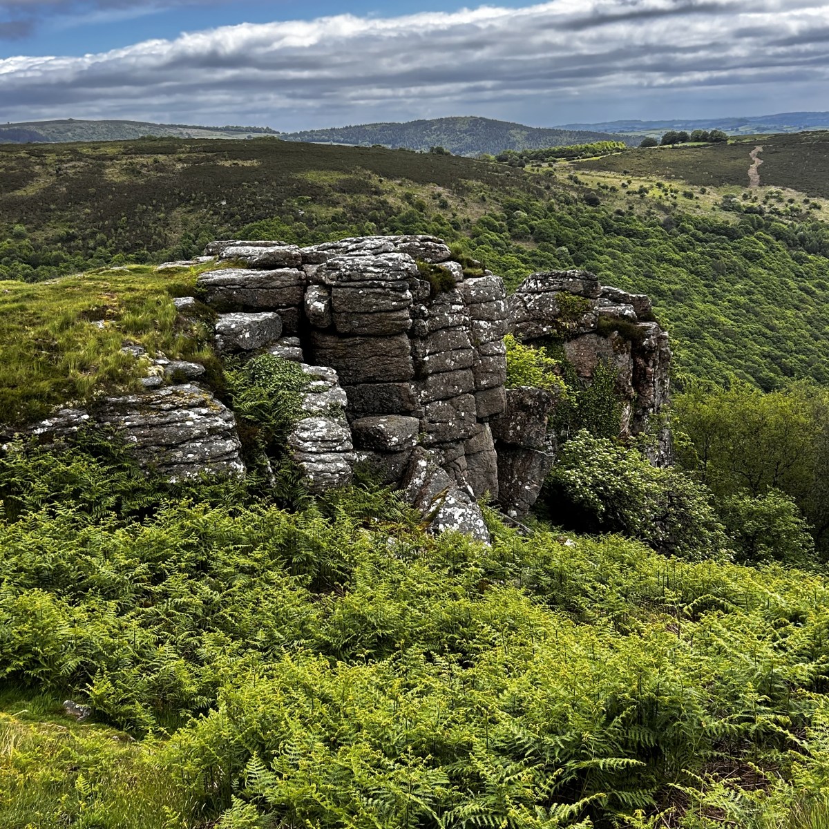 OVER THE HILL HIKES DARTMOOR&nbsp;#3