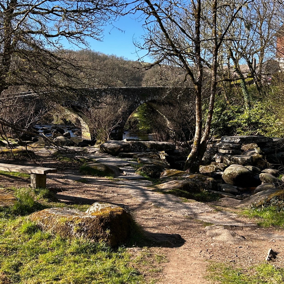 OVER THE HILL HIKES DARTMOOR&nbsp;#4